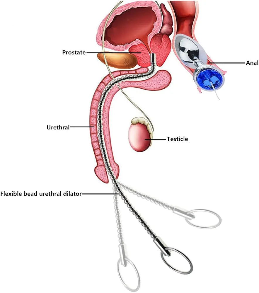 13.8" Flexible Stainless Steel Urethral Sound Dilator with Smooth Beads for Prostate Stimulation and Stretching