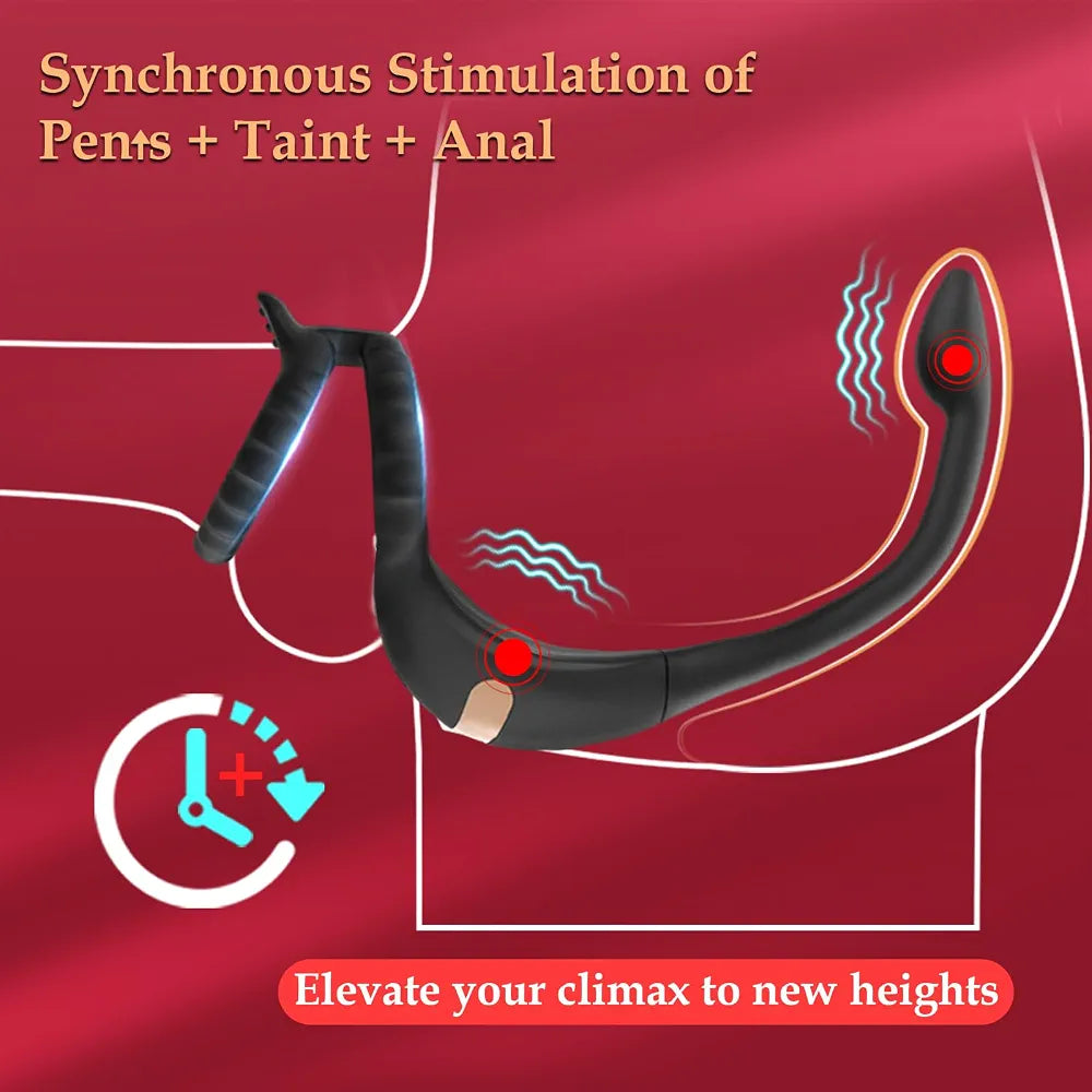 Remote-Controlled Prostate Massager and Vibrating Penis Ring Set