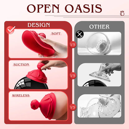 Dual-Pack Rose Nipple & Clitoral Stimulator with 10 Vibration Modes and 3 Interchangeable Heads